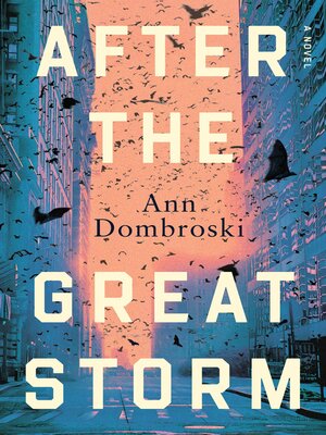 cover image of After the Great Storm
